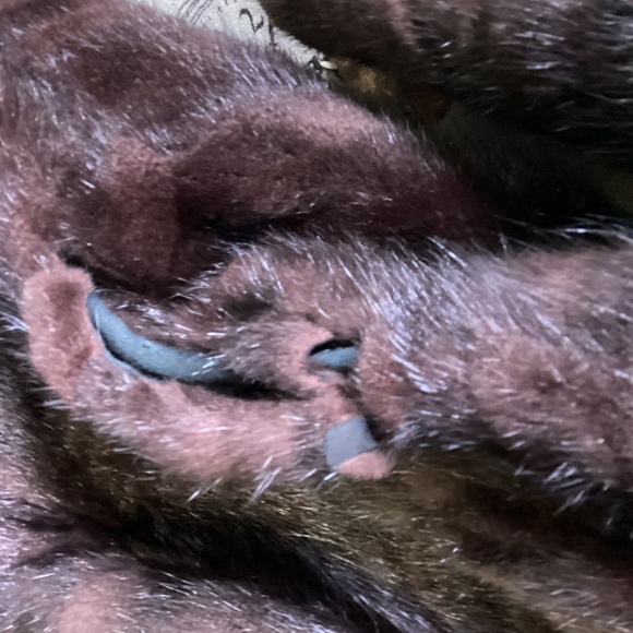 MUSKRAT. FUR.  PLEASE READ ALL DESCRIPTION  FULL LENGTH  mahogany undertones - Picture 4 of 9